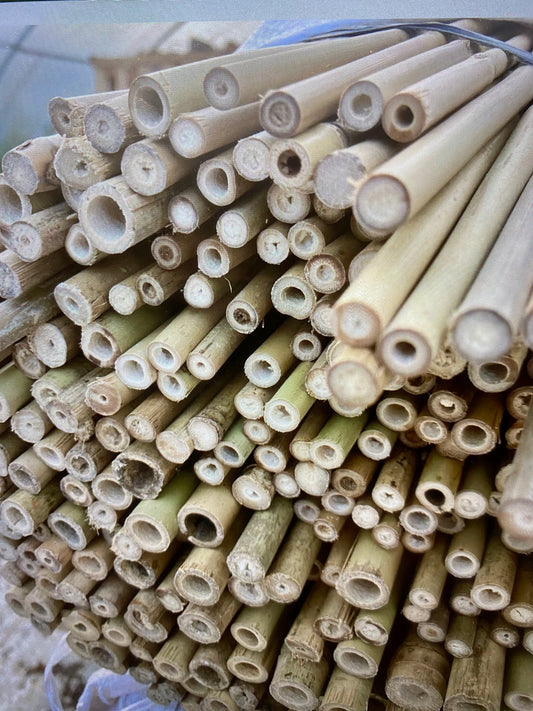 Accessories - Planting - Bamboo Canes